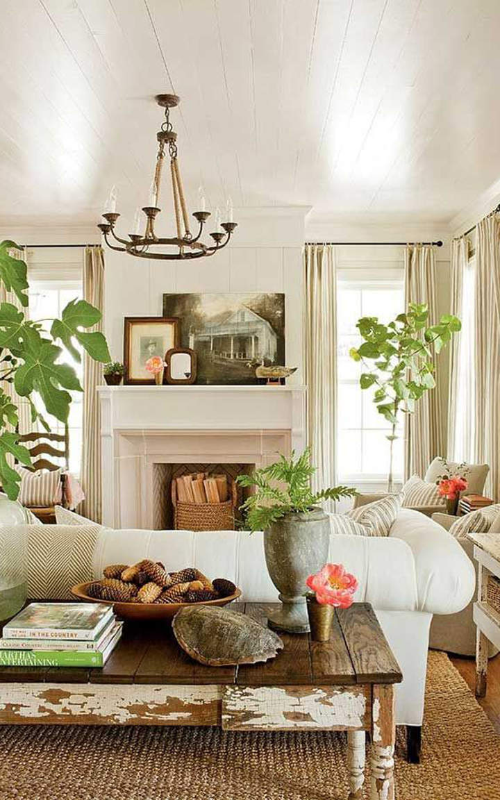 Natural living room designs